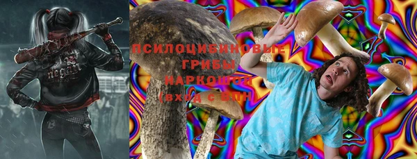 прущий лед Алексеевка