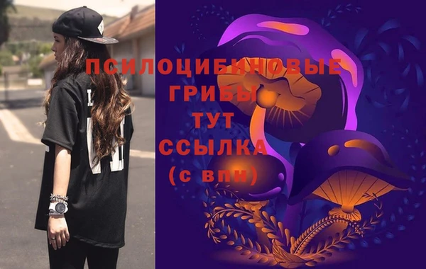 первитин Алексин